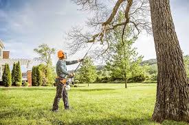 Best Commercial Tree Services  in Country Homes, WA